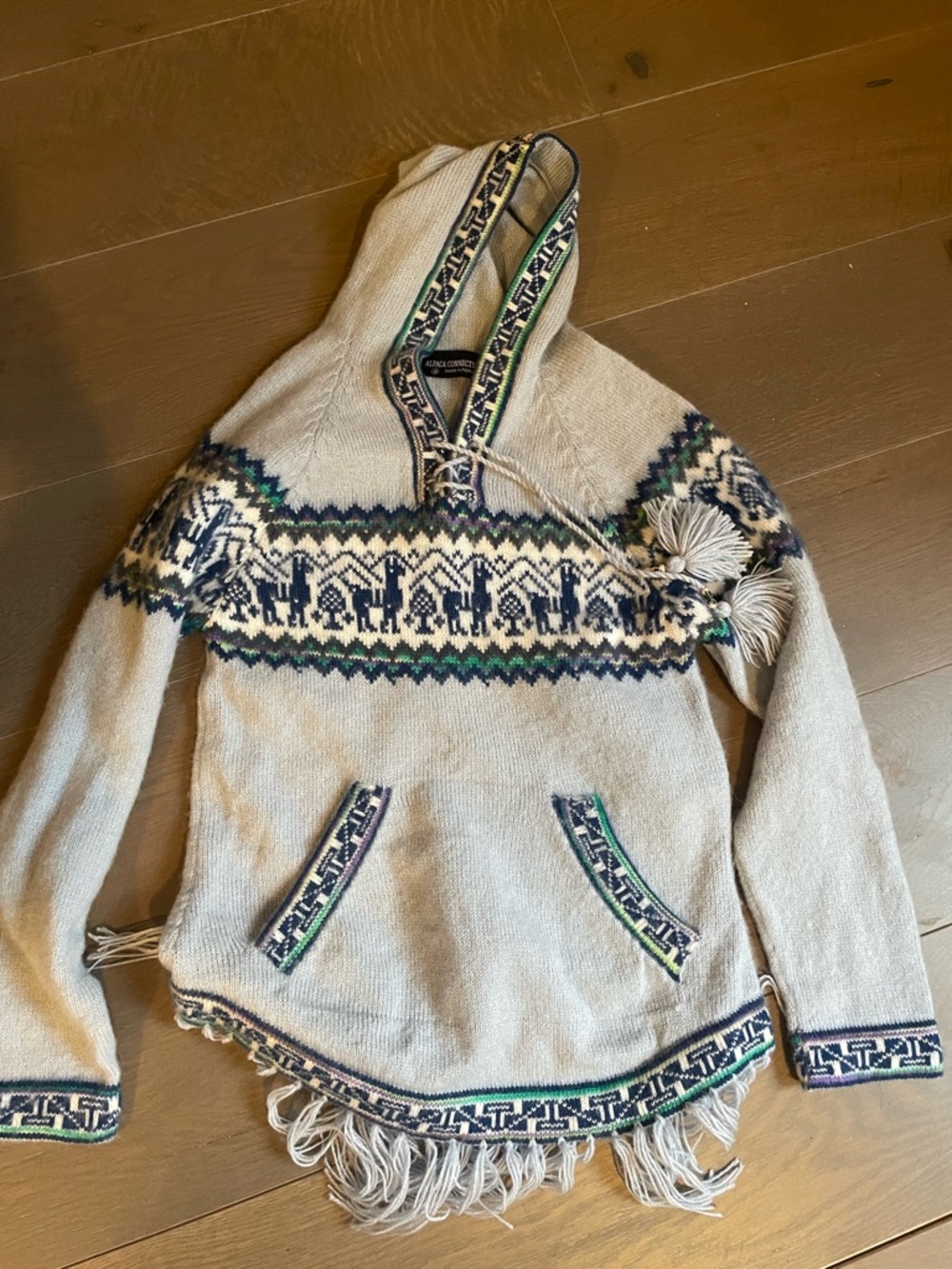 Alpaca Connection Hooded V-Neck Sweater